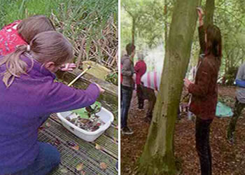 sussexwildlifetrust-1