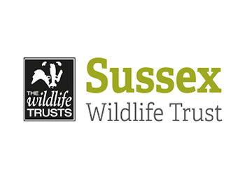 sussexwildlifetrust-3