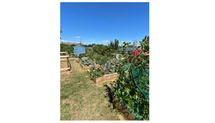 Manor Road Raised Beds