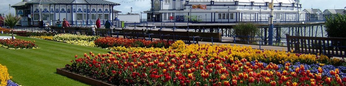 flowers in summer eastbourne seafront by alex askaroff